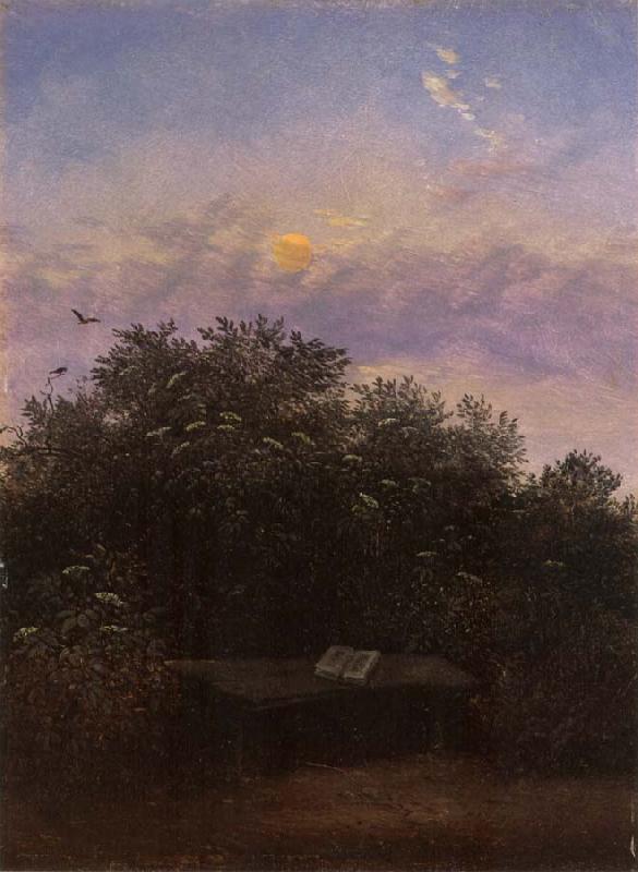 Carl Gustav Carus Blooming Elderberry Hedge in the Moonlight Sweden oil painting art